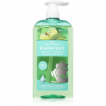 PAPOUTSANIS Karavaki Control & Detox &Scaron;ampoon rasusele ja kuivale peanahale 600 ml
