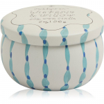 Paddywax Tulip Wisteria & Willow l&otilde;hnak&uuml;&uuml;nal kaanega 56 g