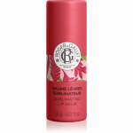 Roger & Gallet Gingembre Rouge Sublimating Lip Balm Huulepalsam 3.5 g