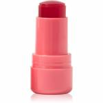 Technic Cosmetics Jelly Tint P&otilde;sepunapulk huultele ja p&otilde;skedele varjund Peach Fizz 9 g