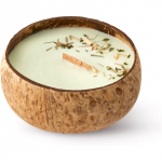 Tropicandle Lemongrass & Ginger l&otilde;hnak&uuml;&uuml;nal puidust taht 350 ml