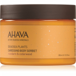 AHAVA Dead Sea Plants &Otilde;rn kehasorbett 350 ml