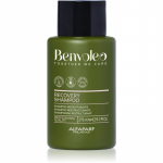 Alfaparf Milano Benvoleo Recovery Restruktureeriv &scaron;ampoon kahjustatud juustele 275 ml