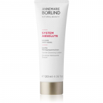 ANNEMARIE B&Ouml;RLIND SYSTEM ABSOLUTE Puhastav piim 120 ml