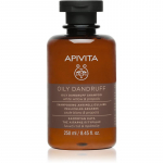 Apivita Dandruff Oily Dandruff Shampoo K&otilde;&otilde;mavastane &scaron;ampoon rasustele juustele 250 ml