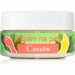 Bione Cosmetics Cannabis Palsam kandadele 150 ml