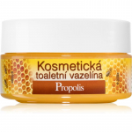 Bione Cosmetics Honey + Q10 Kosmeetiline vaseliin 155 ml
