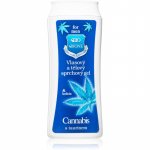 Bione Cosmetics Men Cannabis + Taurine Du&scaron;igeel kehale ja juustele 200 ml