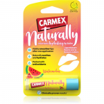 Carmex Watermelon Niisutav huulepalsam 4.25 g