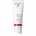 Dr. Hauschka Hand And Foot Care Niisutav kreem jalgadele 75 ml
