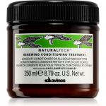 Davines Naturaltech Renewing Conditioning Treatment &Otilde;rn sulfaadivaba palsam peanaha taastamiseks 250 ml