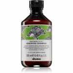 Davines Naturaltech Renewing Shampoo &Otilde;rn &scaron;ampoon peanaha taastamiseks 250 ml