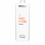 Framesi Morphosis Purifying Puhastav &scaron;ampoon k&otilde;&otilde;ma vastu 1000 ml