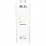 Framesi Morphosis Repair Taastav palsam kuivadele, stressis juustele 1000 ml