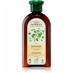Green Pharmacy Birch Buds & Castol Oil Shampoo K&otilde;&otilde;mavastane &scaron;ampoon 350 ml