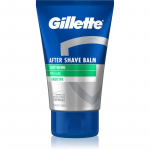 Gillette Sensitive Raseerimisj&auml;rgne kreem Aloe Vera 100 ml