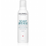 Goldwell Dualsenses Scalp Specialist Vaht&scaron;ampoon tundlikule peanahale 250 ml