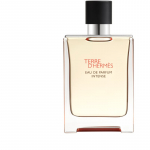 HERM&Egrave;S Terre d&rsquo;Herm&egrave;s Eau de Parfum Intense EDP Intense  Mle 100 ml
