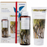 Korres Forest Cedar Kinkekomplekt  U