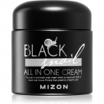 Mizon Black Snail All in One N&auml;okreem 90% teolima filtraadiga 75 ml
