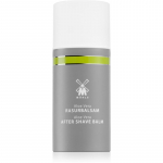 M&uuml;hle Aftershave Balm Raseerimisj&auml;rgne palsam  Mle 100 ml