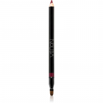Nouba Lip Pencil Huulepliiats koos pintsliga / harjaga varjund 31 1,2 g