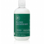 Paul Mitchell Tea Tree Lavender Mint Niisutav ja rahustav palsam kuivadele ja t&otilde;rksatele juustele 300 ml