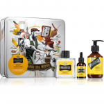 Proraso Set Beard Routine komplekt habemele Wood and Spice
