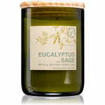 Paddywax Eco Green Eucalyptus & Sage l&otilde;hnak&uuml;&uuml;nal 226 g