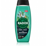 Radox Feel Invigorated Du&scaron;igeel  Mle kaks-&uuml;hes 450 ml