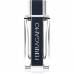 Ferragamo Ferragamo EDT  Mle 100 ml