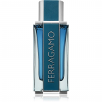 Ferragamo Ferragamo Intense Leather EDP  Mle 100 ml
