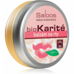 Saloos BioKarit&eacute; Huulepalsam 19 ml
