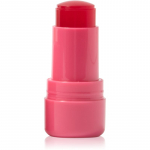 Technic Cosmetics Jelly Tint P&otilde;sepunapulk huultele ja p&otilde;skedele varjund Red Hot 9 g