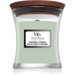 Woodwick Sagewood & Seagrass l&otilde;hnak&uuml;&uuml;nal puidust taht 85 g