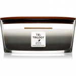 Woodwick Trilogy Warm Woods l&otilde;hnak&uuml;&uuml;nal puidust taht (hearthwick) 453.6 g