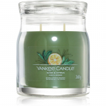 Yankee Candle Sage & Citrus l&otilde;hnak&uuml;&uuml;nal signatuur Signature 368 g