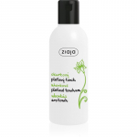 Ziaja Cucumber Puhastustoonik rasusele ja kombineeritud nahale 200 ml