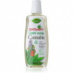 Bione Cosmetics Dentamint Cannabis Suuloputusvesi 500 ml