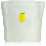 Paddywax Bistro Meyer Lemon l&otilde;hnak&uuml;&uuml;nal 226 g