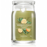 Yankee Candle Sage & Citrus l&otilde;hnak&uuml;&uuml;nal signatuur 567 g