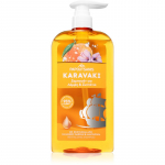 PAPOUTSANIS Karavaki Shine & Vitality &Scaron;ampoon s&auml;ravate ja pehmete juuste jaoks 600 ml