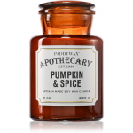 Paddywax Apothecary Pumpkin Spice l&otilde;hnak&uuml;&uuml;nal 226 g