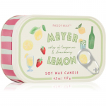 Paddywax Bistro Meyer Lemon l&otilde;hnak&uuml;&uuml;nal 127 g