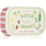 Paddywax Bistro Meyer Lemon l&otilde;hnak&uuml;&uuml;nal 127 g