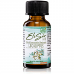 THD Elisir Eucalyptus l&otilde;hna&otilde;li 15 ml
