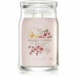 Yankee Candle Pink Cherry & Vanilla l&otilde;hnak&uuml;&uuml;nal Signature 567 g