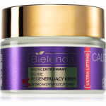 Bielenda Calcium + Q10 Concentrated, strongly regenerating anti-wrinkle cream for day 80+ Pinguldav vananemisvastane p&auml;evakreem 50 ml