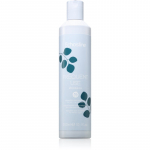 Echosline Frequent use Shampoo &Scaron;ampoon igap&auml;evaseks kasutamiseks 300 ml