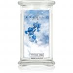 Kringle Candle Winter Iris l&otilde;hnak&uuml;&uuml;nal 624 g